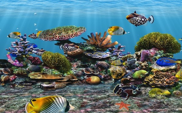 Источник: Pikabu 