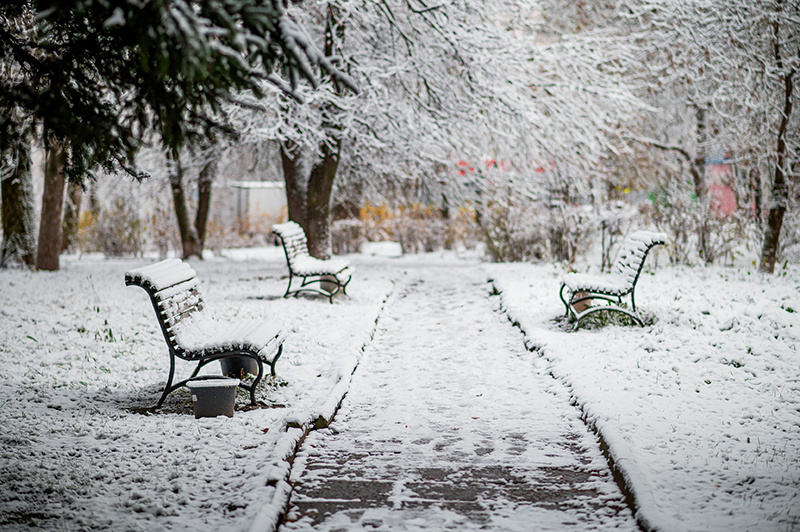 Погода в Твери 10 декабря. Без изменений