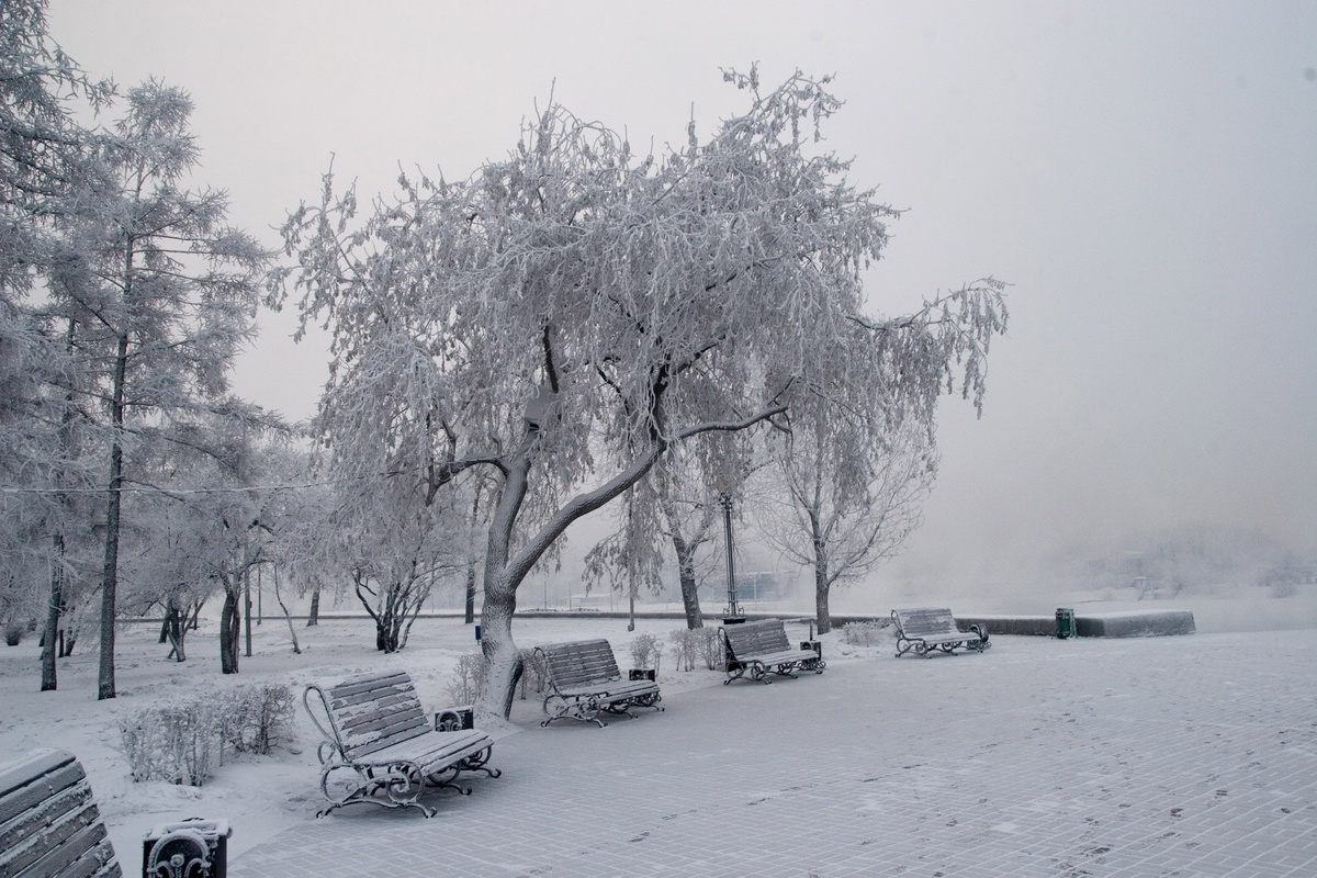 Фото из открытых источников