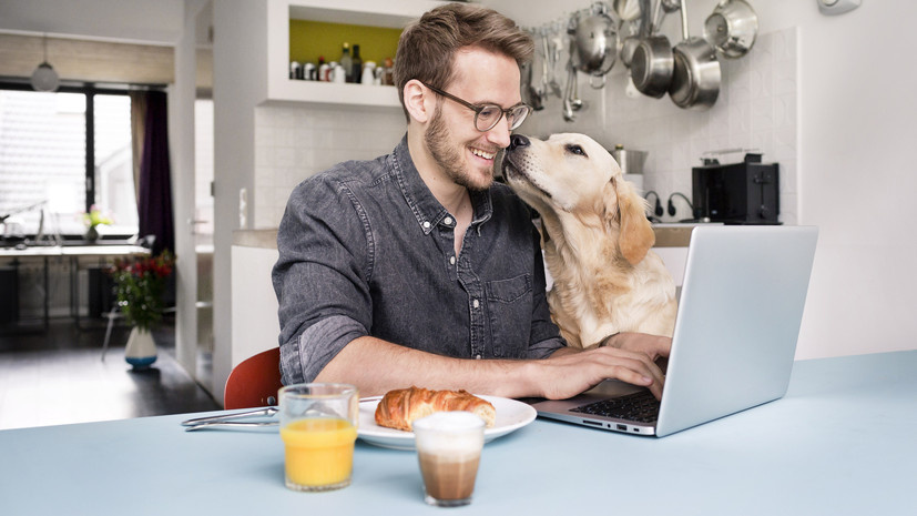   Gettyimages.ru Westend61