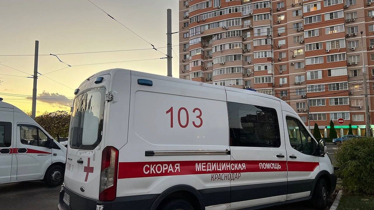    Фото: телеканал «Краснодар»