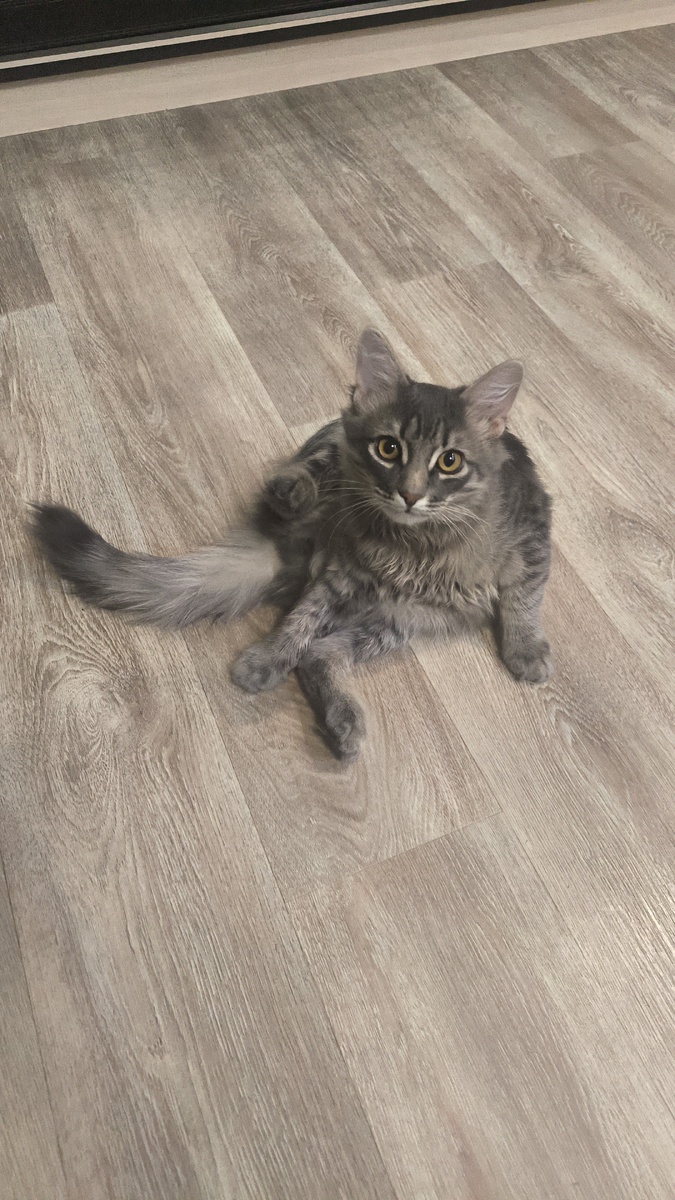 Все фотографии в статье авторские 