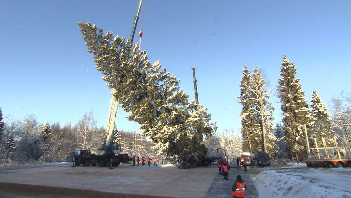 Источник https://cdnn1.img.sputnik-georgia.com/img/24353/10/243531094_6:0:1280:720_2072x0_60_0_0_f14e945e4ad567cdb47ff0f0b8983e44.jpg