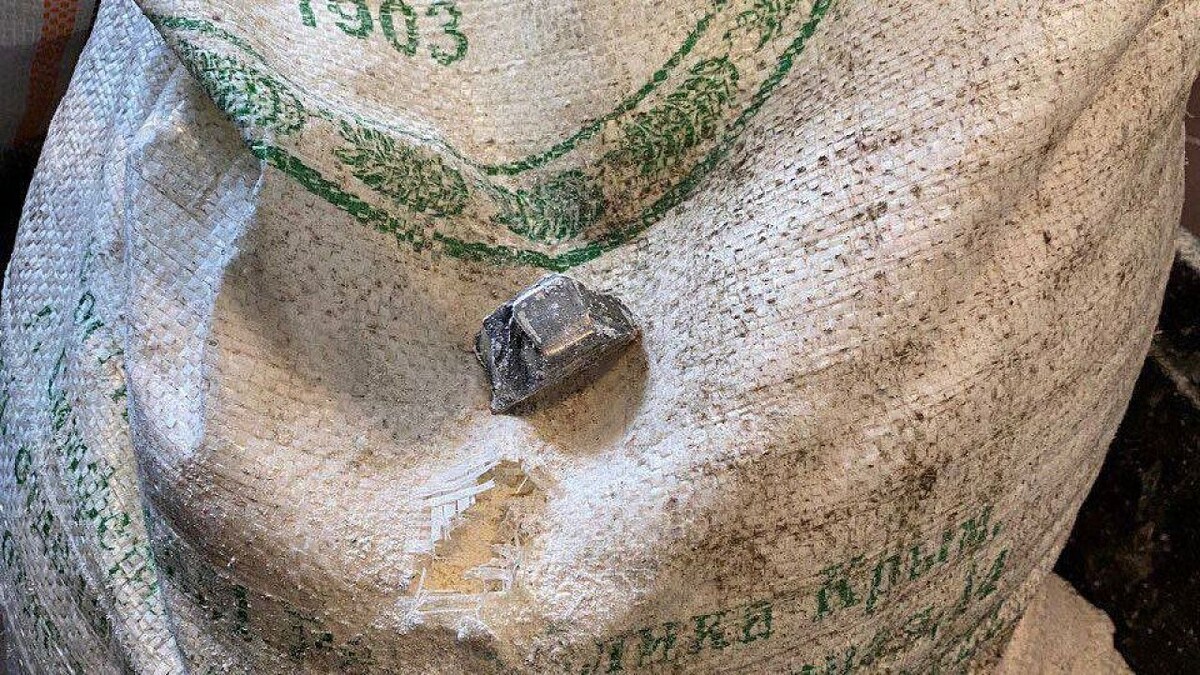    Фото: https://t.me/kravchenko_glava_nvrsk