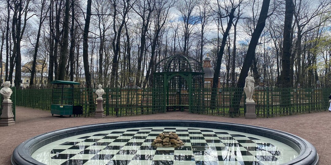 Дорогу осилит идущий или рентгенография принимаемых решений