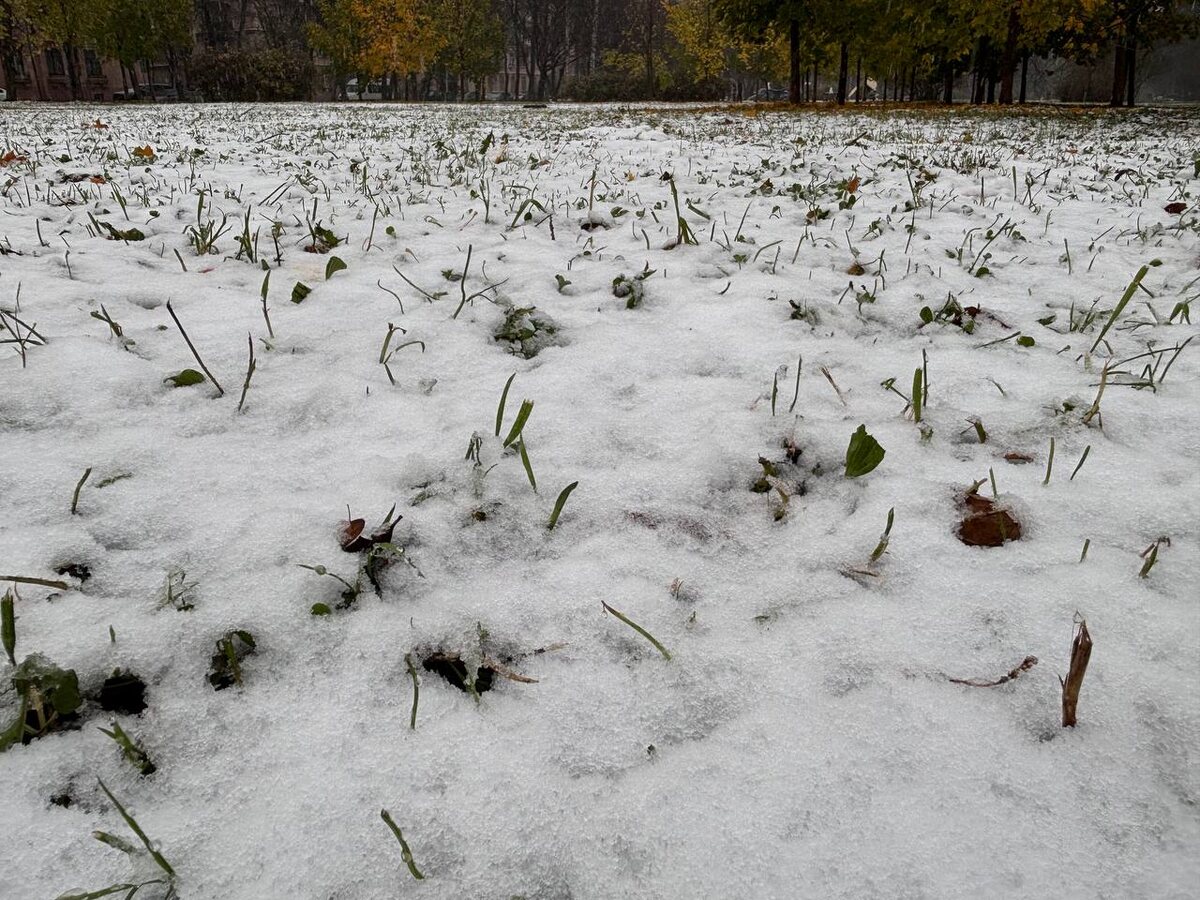 Форпост Северо-Запад