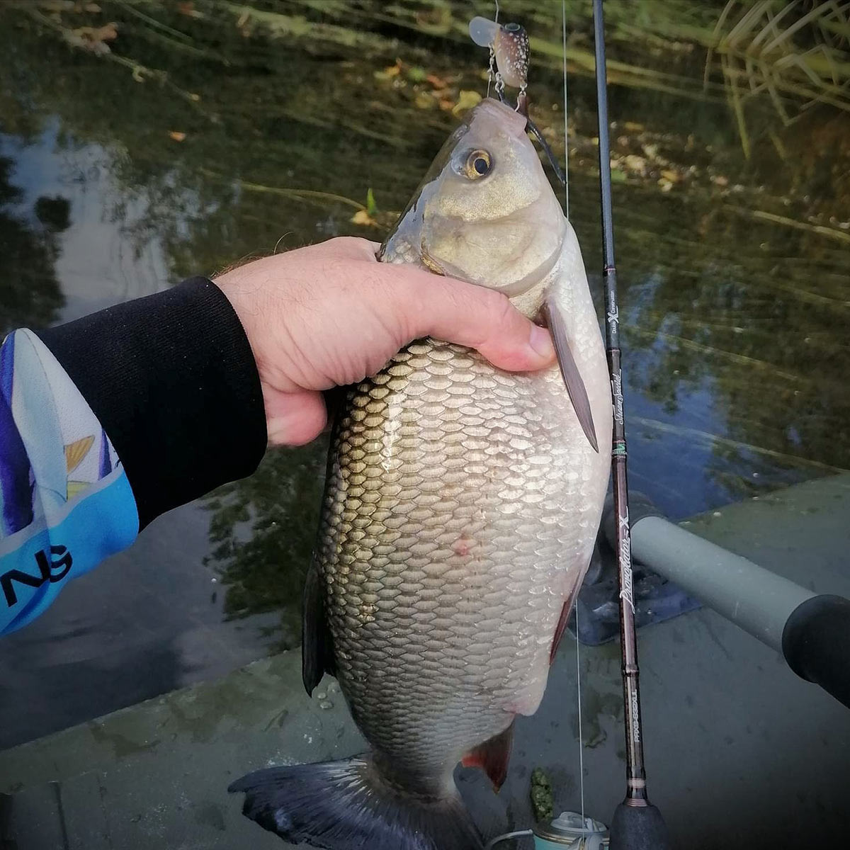 Язь на Jackall Micro Tappy