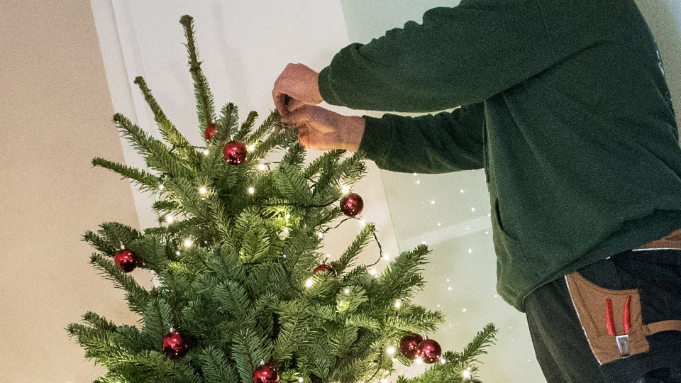 Фото: Global Look Press/Daniel Bockwoldt/dpa