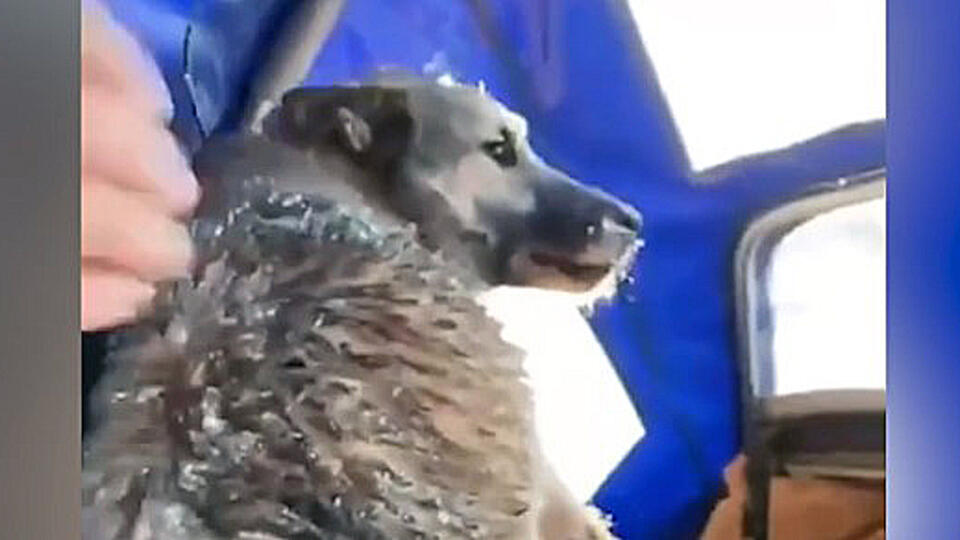 Фото: t.me/МЧС России