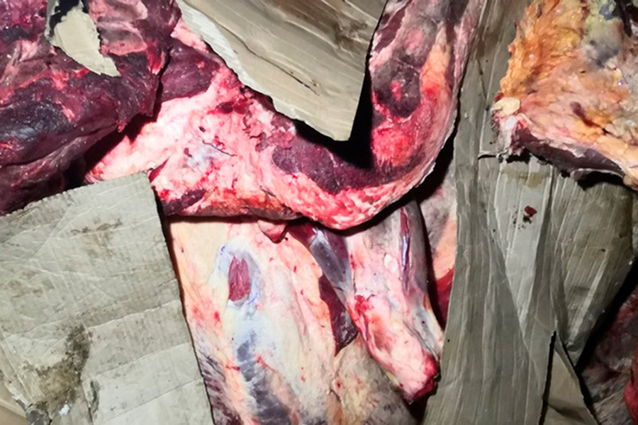    Фото: Россельхознадзор