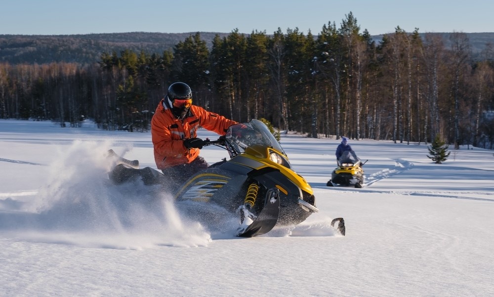 @irina02/Shutterstock