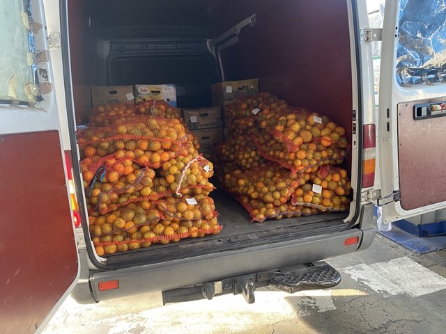    Фото: пресс-служба по г. Сочи Краснодарской таможни