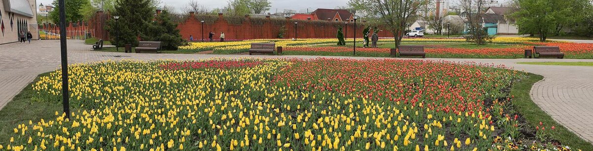    Фото: Антон Вергун