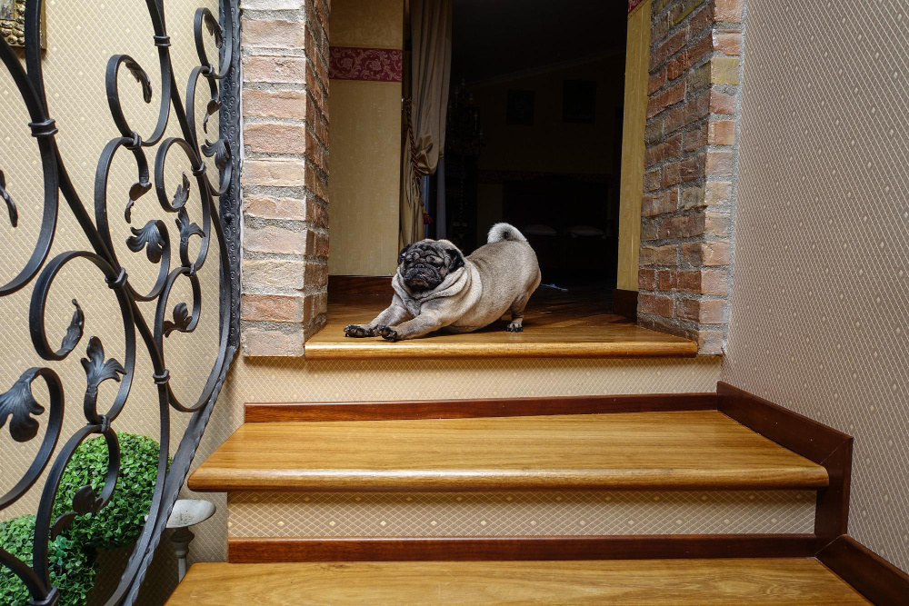 Лестница на входе в частный дом