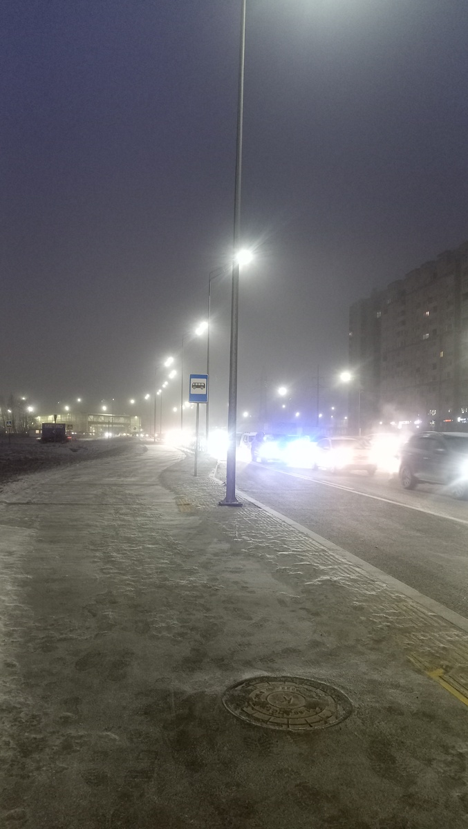 Фото автора канала "Волнушка"