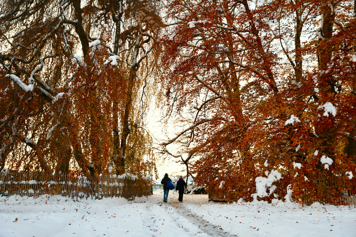 Картинка с бесплатного фотостока https://unsplash.com, автор Dylan Shaw