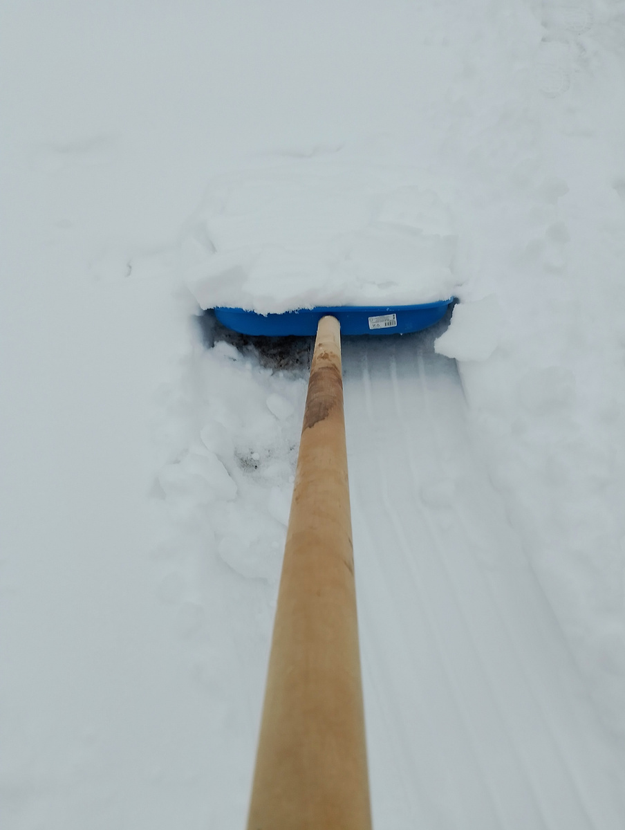 фото автора, необходимый инструмент до прихода весны