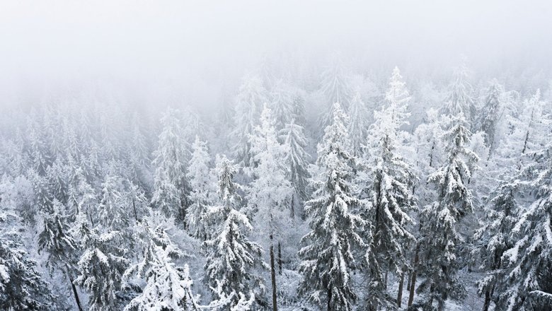 Источник: Unsplash