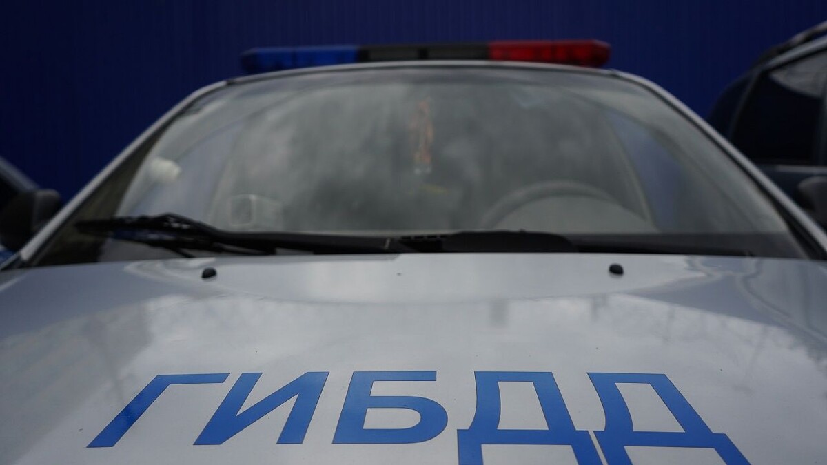    Фото: телеканал «Краснодар»