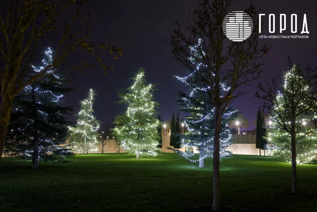 Новогодние красавицы.