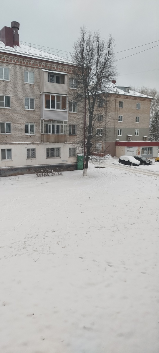 10 декабря 2024. Зима.