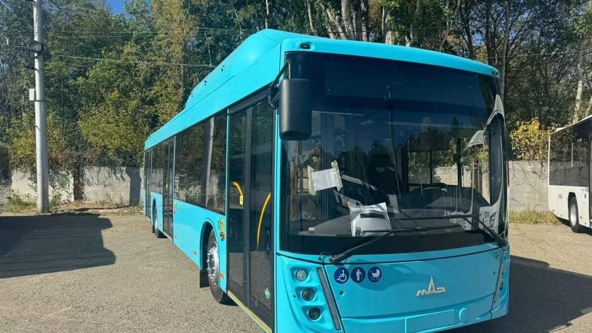     Автор: Миндор Ставропольского края