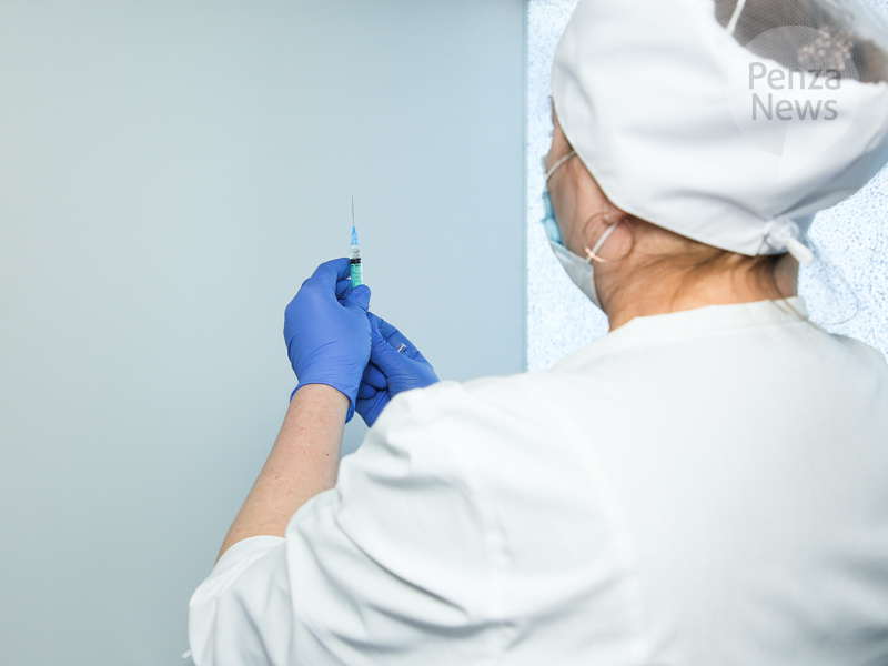    © Фото из архива ИА «PenzaNews»