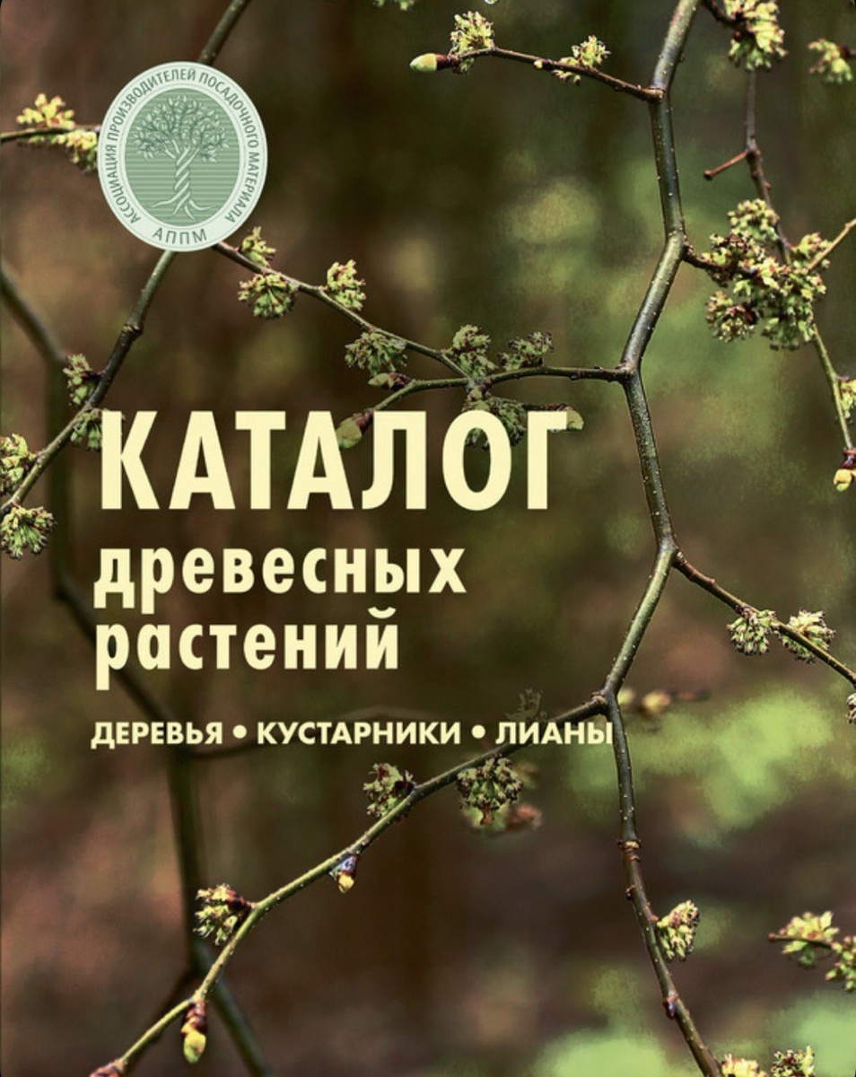 Каталог древесных растений АППМ