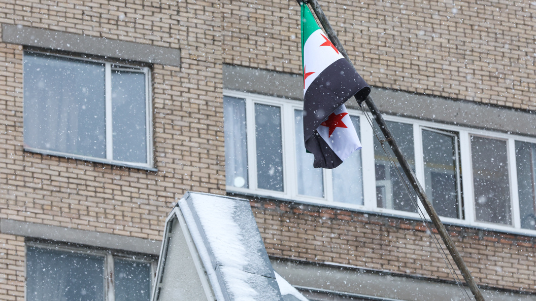    фото: Belkin Alexey/news.ru/Globallookpress