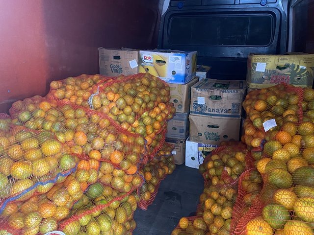    Фото пресс-службы Краснодарской таможни