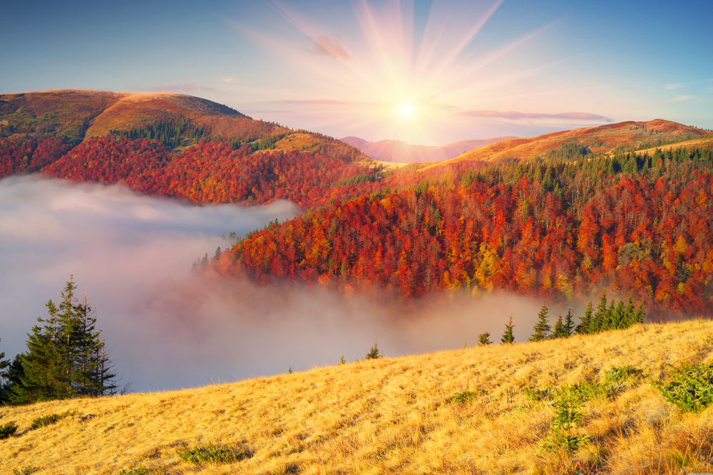 Фото: Roman Mikhailiuk/Shutterstock/FOTODOMЗаказники создают не только для сохранения, но и для восстановления охраняемых объектов