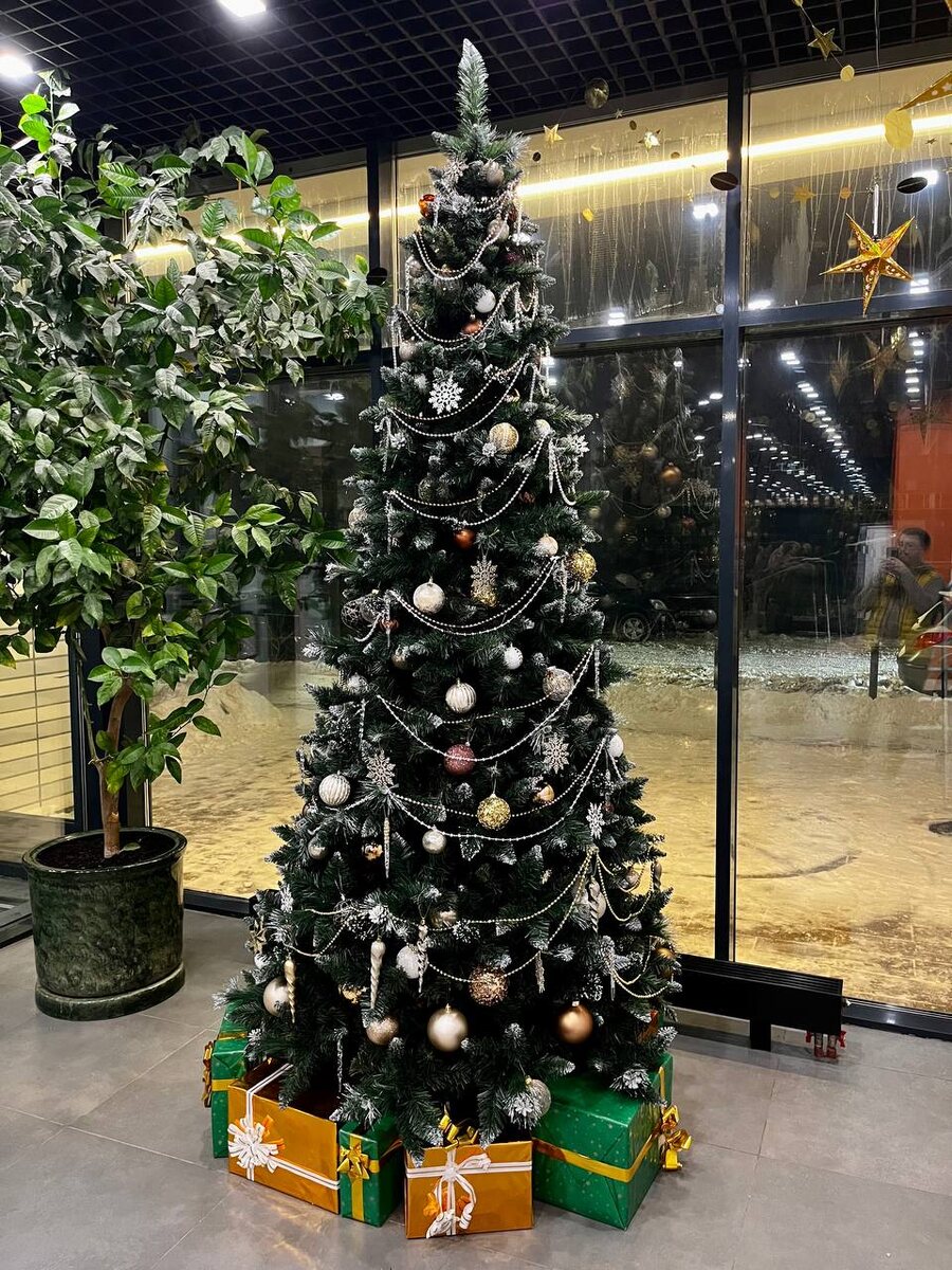 Ёлочка в нашем подъезде