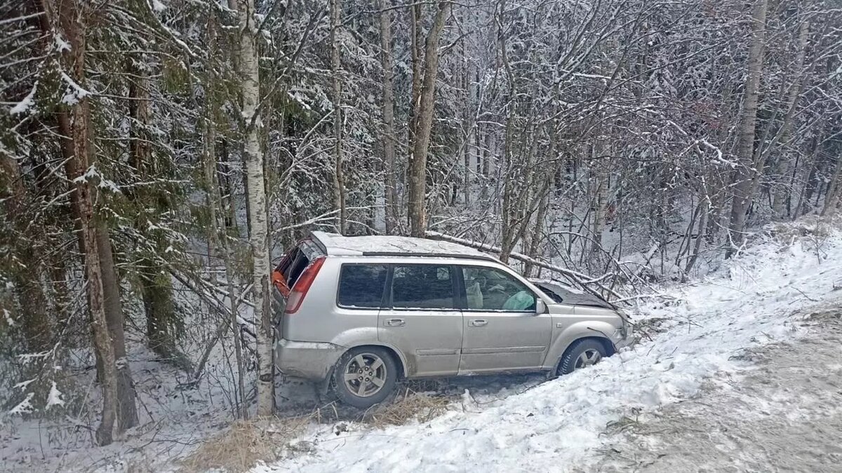     Источник: Госавтоинспекция Карелии / vk