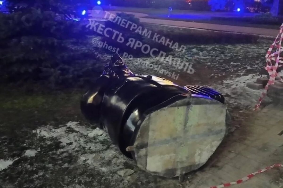    В Ярославле задержали подростков, поваливших «медведя-чиновника»