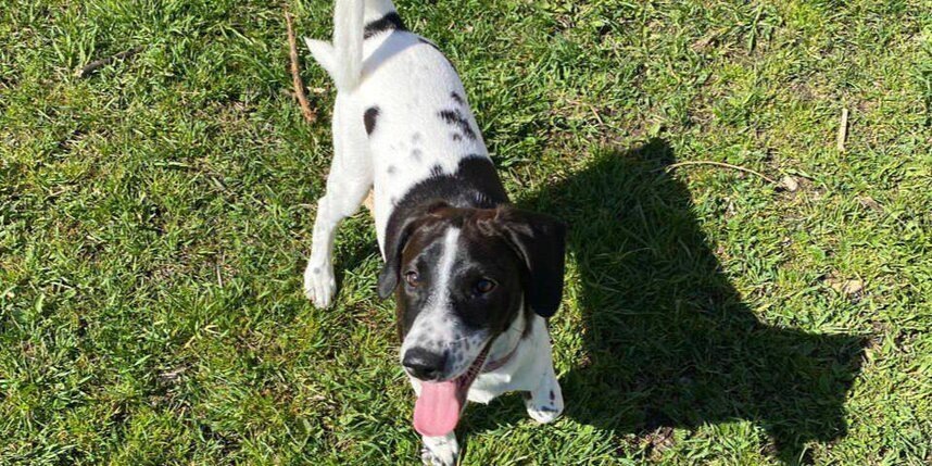    Ангелина Пикеева