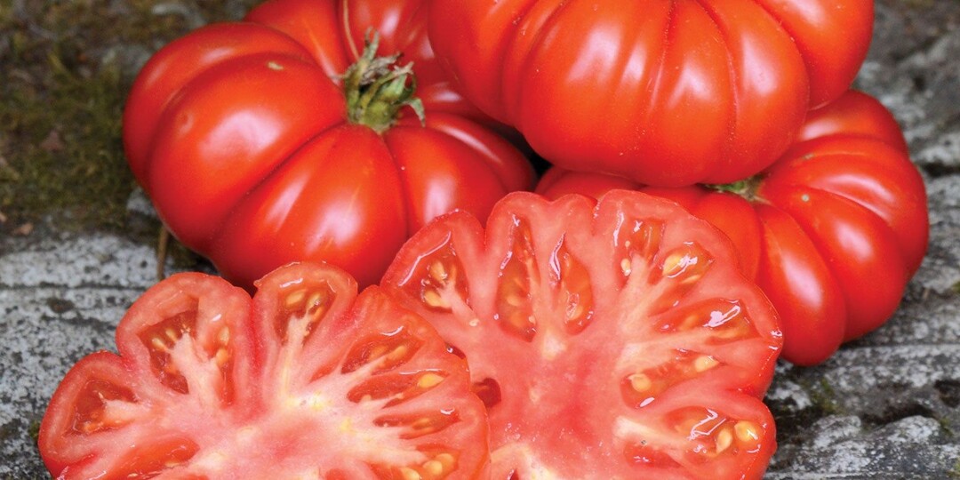 Пройти мимо невозможно: 7 томатов, которые как десерт