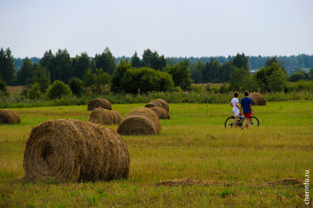    Право на выплаты вместо участка имеют семьи с тремя и более детьми, стоящие на учете на получение в собственность земли