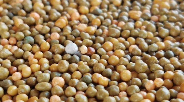    С опережением графика производители минудобрений полностью закрыли годовую потребность российского АПК