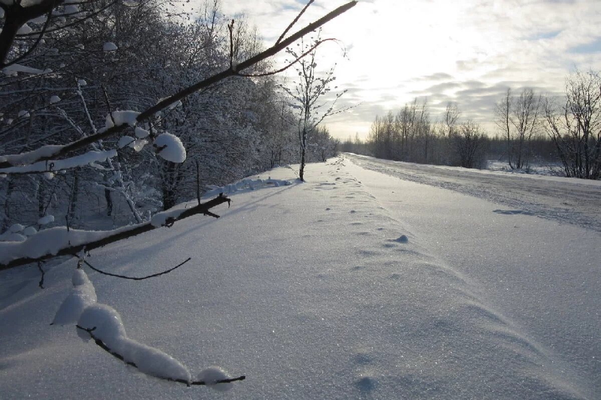    Движение по зимнику открыто 10 декабря.