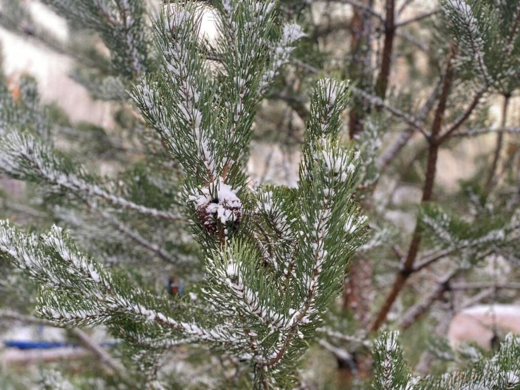    Фото: В курсе.ру Алена Калашникова