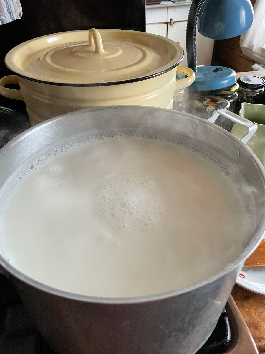 9 литров козьего молока без уксуса. 