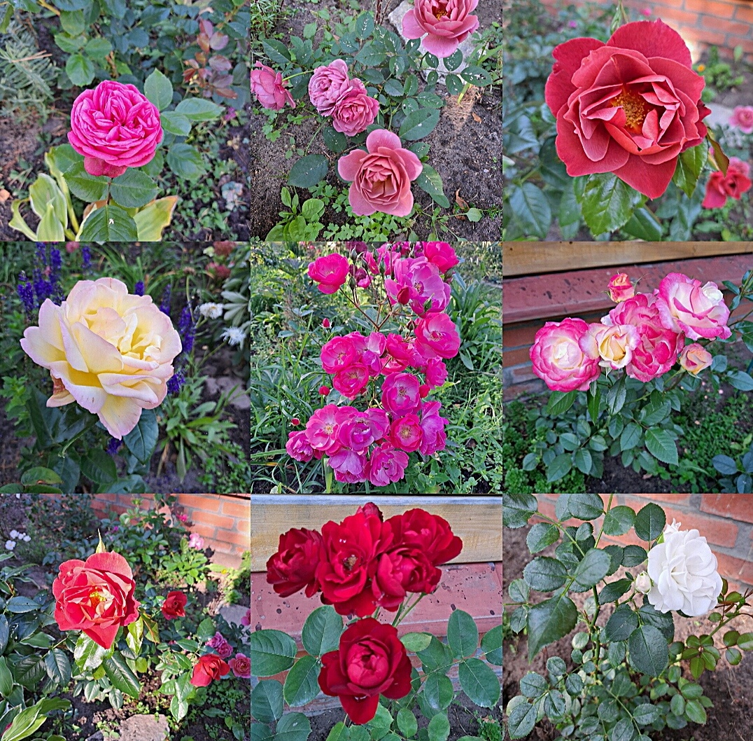 Август 2024 года