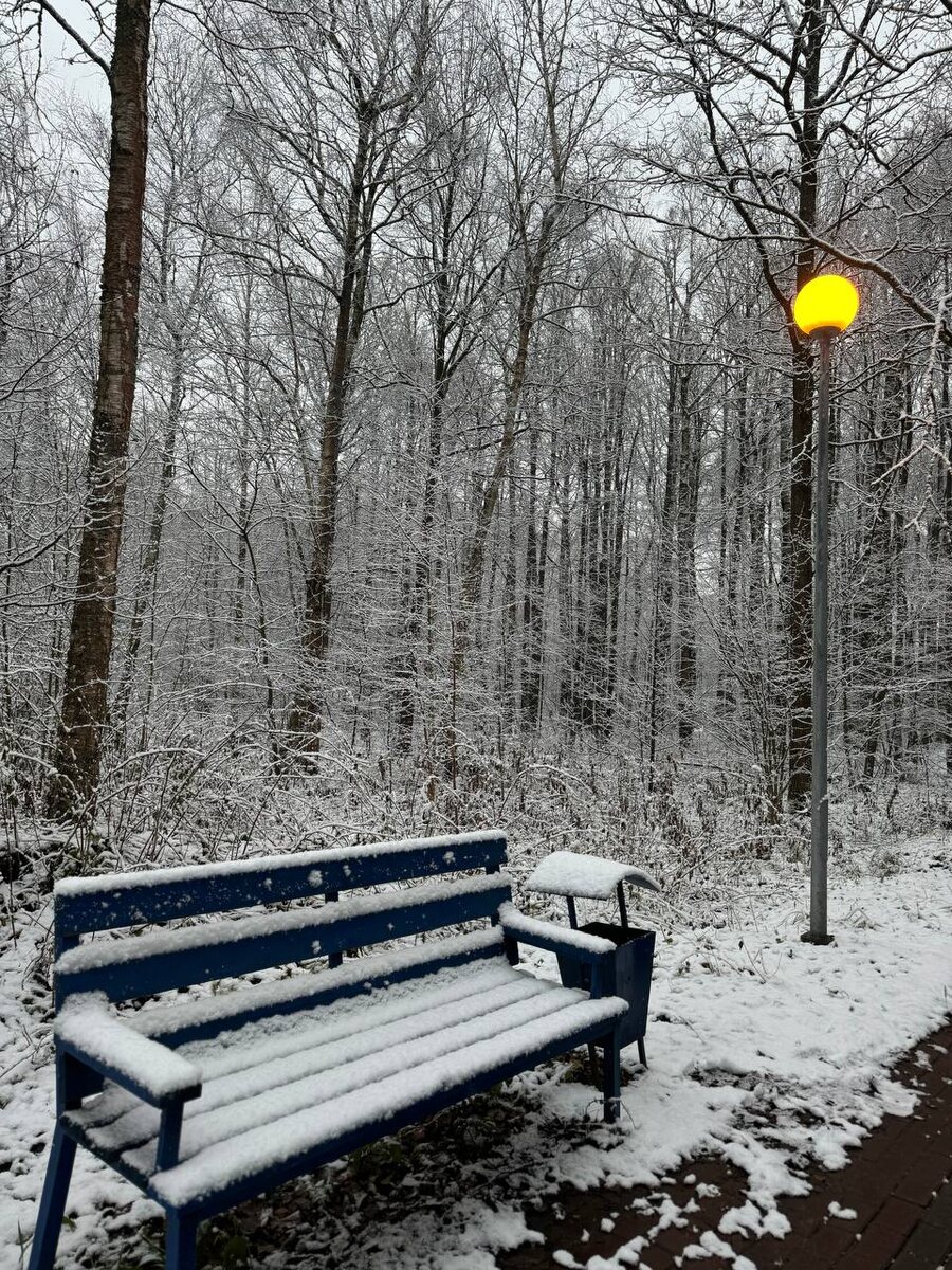 Лавочка раздумий 