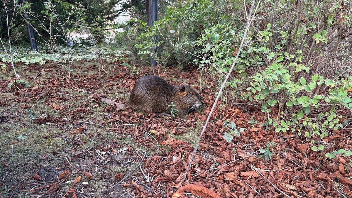    Фото: телеканал «Краснодар»