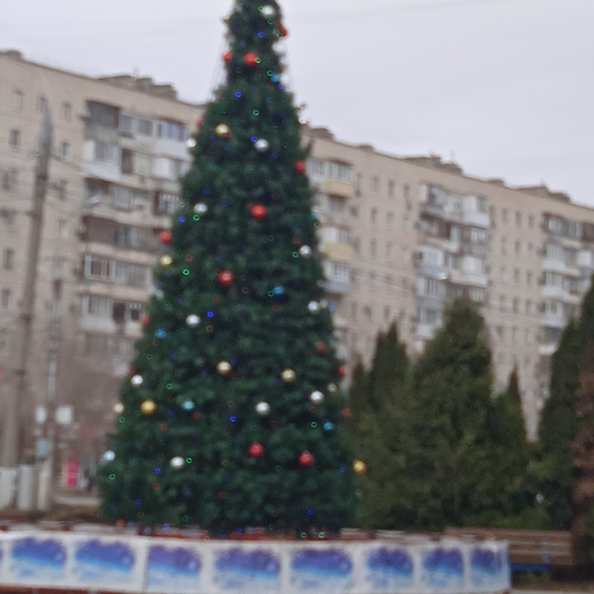 Эта ёлочка возле кинотеатра стоит , а за ней дом где моя дочь живёт. 