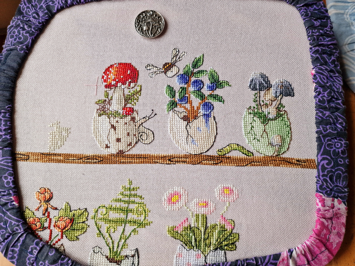 СО "Чудеса в скорлупках". Стало