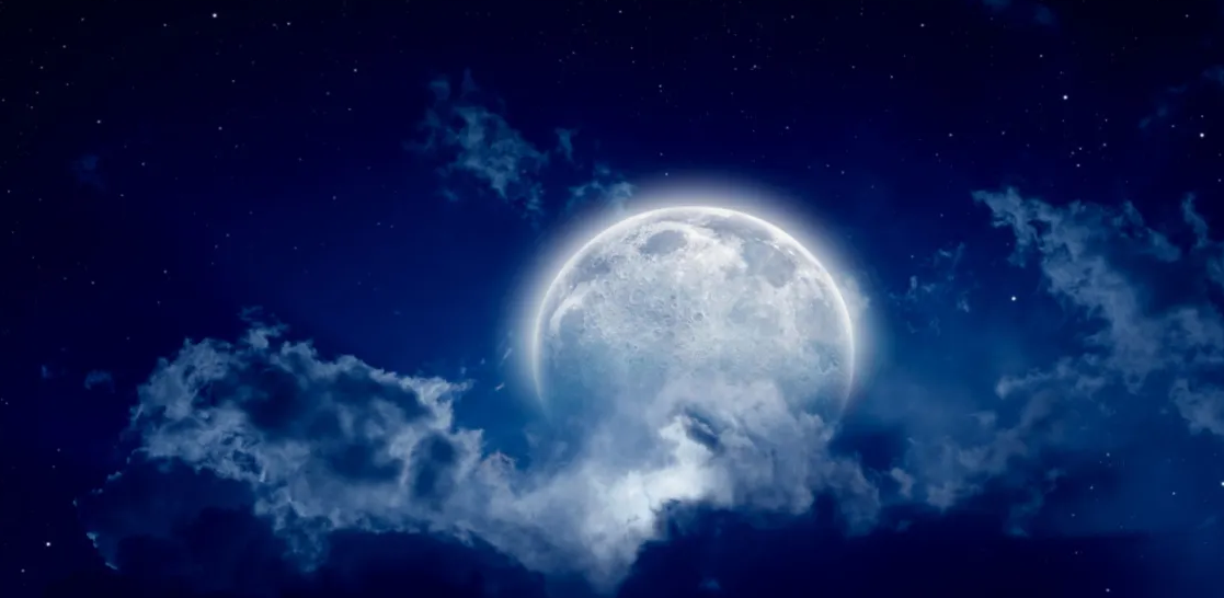 картинки Яндекс