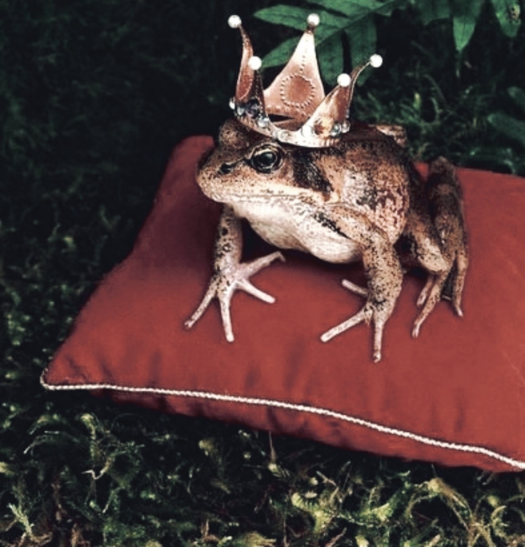 Картинка из интернета 