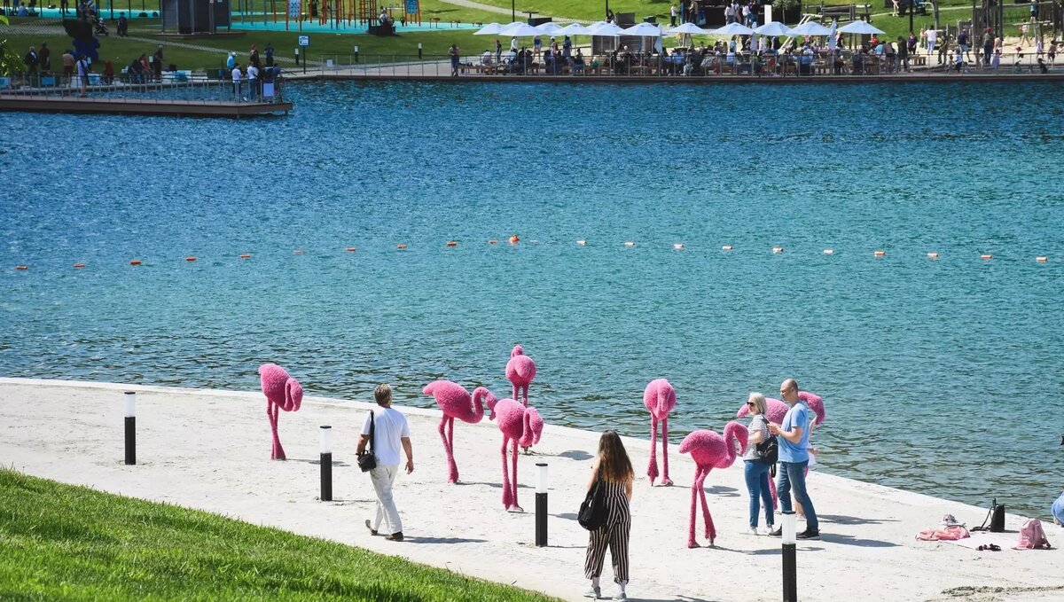     Источник: 1MI