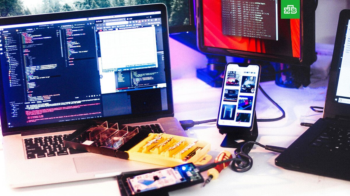    Фото: Tai Bui / unsplash.com